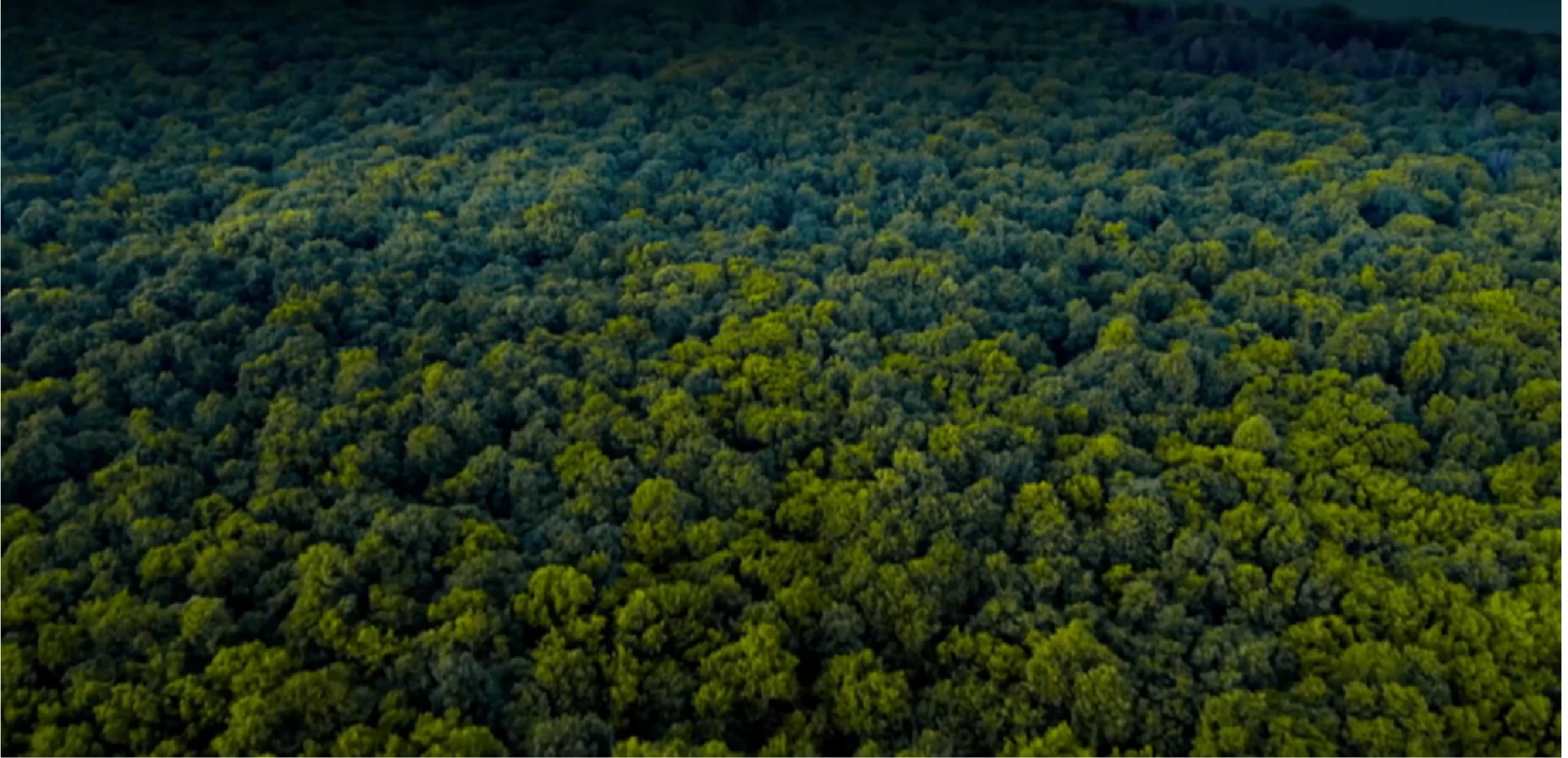 k豆钱包官方网站 - kdpay钱包