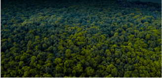 k豆钱包官方网站 - kdpay钱包